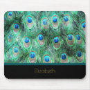 Search for feathered birds electronics Watercolor