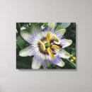 Search for passion canvas prints Flowers
