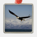 Search for wild one christmas tree decorations Wildlife