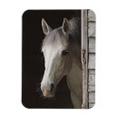 Search for barn animals magnets Horses