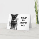 Search for veterinarian retirement Dog groomer