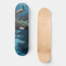 Search for tabla Skate