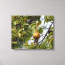 Search for pear canvas prints Tree