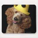 Search for mixed breed mousepads Humour