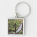 Search for hanging key rings Tree