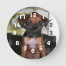 Search for boxer dog clocks Cute