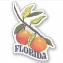 Search for florida oranges stickers Vintage