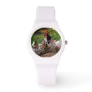 Search for rooster watches Poultry