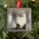 Search for baby seal christmas tree decorations Pup