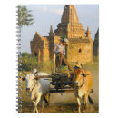 Search for ancient notebooks Animal