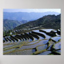 Search for irrigation posters Landscape