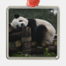 Search for china christmas tree decorations Bear