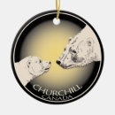 Search for mama bear christmas tree decorations Cub