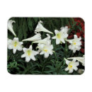 Search for lilium cards Green