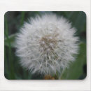 Search for dandelions mousepads Seeds