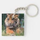 Search for wild tiger key rings Zoo
