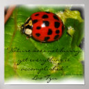 Search for red bug posters Wings