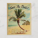 Search for aruba Palm tree