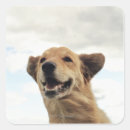 Search for enjoyment stickers Happiness