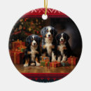 Search for bernese mountain dog christmas tree decorations Berner