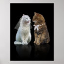 Search for funny bride art Cute