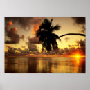 Search for puerto vallarta posters Ocean