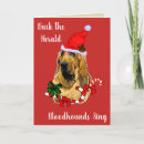 Search for bloodhound christmas cards Xmas