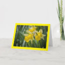 Search for sister mothers day cards Photography