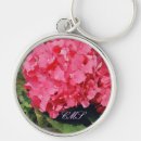Search for hydrangea gifts Flower petals