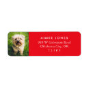 Search for pet return address labels White