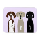Search for great dane magnets Puppy