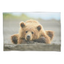 Search for bears pillowcases Alaska