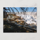 Search for limestone postcards Park