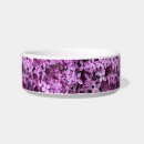 Search for photo pet bowls Nature
