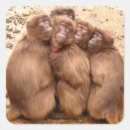 Search for cute gorilla stickers Funny