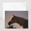 Search for backlit postcards Bob langrish