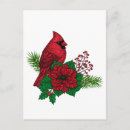 Search for decorative postcards Bird