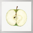 Search for green apple posters Fruit