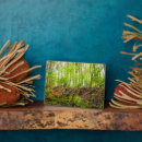 Search for danita delimont plaques Forest