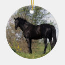 Search for thoroughbred horse christmas tree decorations Standing