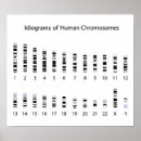 Search for genome posters Biology
