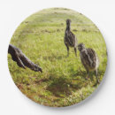 Search for baby chick plates Chicks
