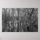 Search for black and white forest posters Landscape