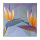 Search for paradise tiles Colourful