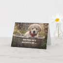 Search for yellow lab cards Cute