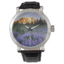 Search for nobody watches Flower