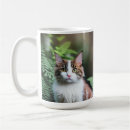 Search for ragdoll cats mugs Animal