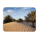 Search for douz Palm tree
