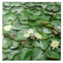 Search for water lily flower tiles China