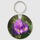 Search for aster key rings Nature